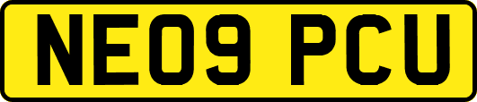 NE09PCU