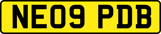 NE09PDB