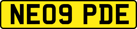 NE09PDE