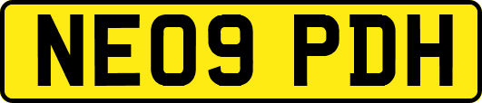 NE09PDH