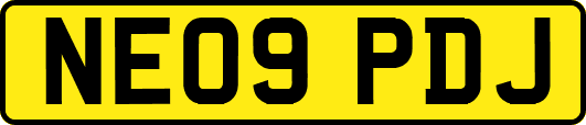 NE09PDJ