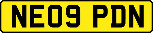 NE09PDN