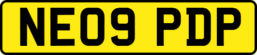 NE09PDP