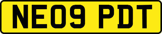 NE09PDT