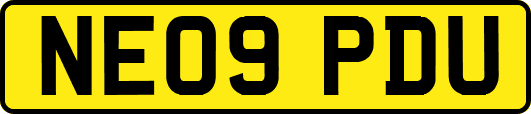NE09PDU