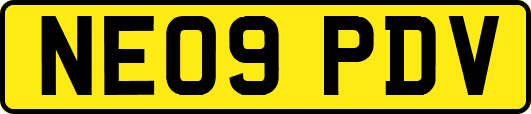 NE09PDV