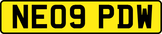NE09PDW