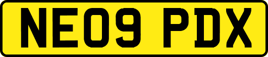NE09PDX