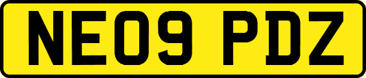 NE09PDZ