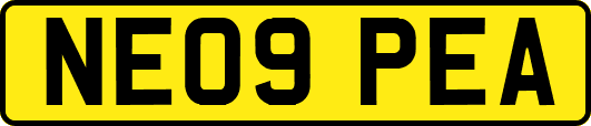 NE09PEA