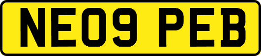 NE09PEB