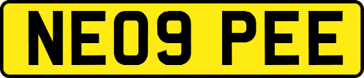 NE09PEE