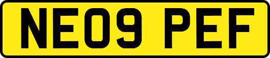 NE09PEF