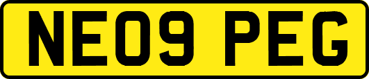 NE09PEG
