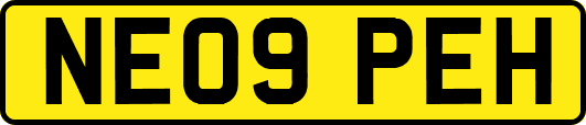NE09PEH