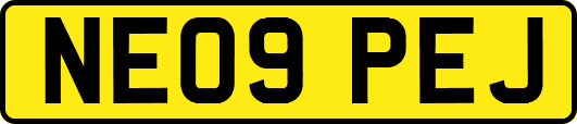 NE09PEJ