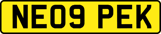 NE09PEK