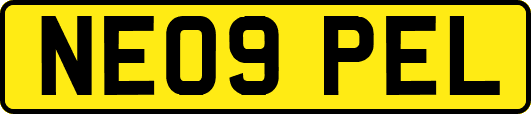 NE09PEL