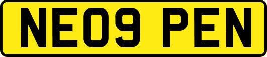 NE09PEN