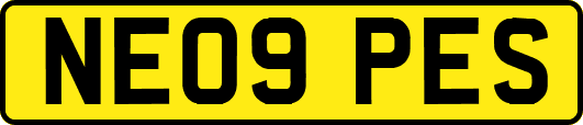 NE09PES