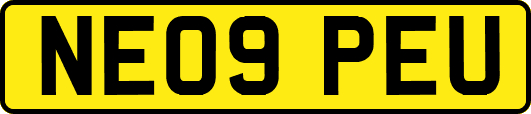 NE09PEU