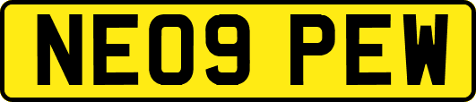 NE09PEW