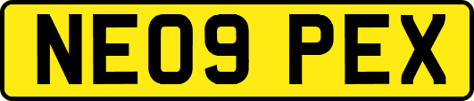 NE09PEX