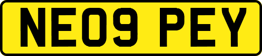 NE09PEY