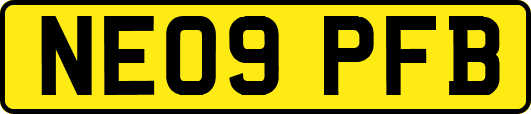 NE09PFB