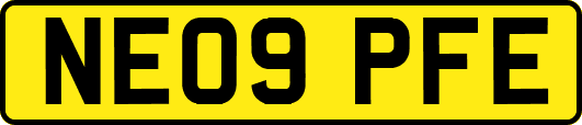 NE09PFE