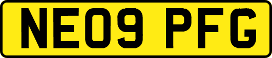 NE09PFG