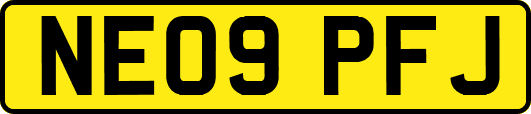 NE09PFJ