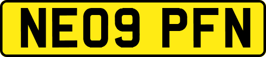 NE09PFN