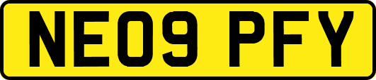 NE09PFY