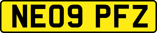 NE09PFZ