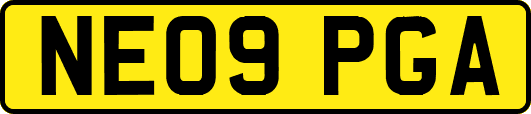 NE09PGA