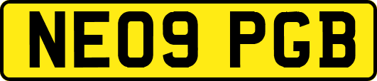 NE09PGB