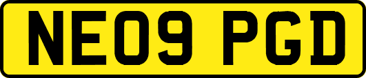 NE09PGD