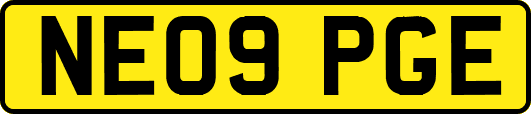 NE09PGE
