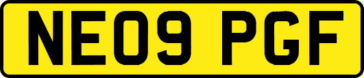 NE09PGF