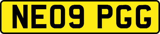 NE09PGG