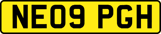 NE09PGH