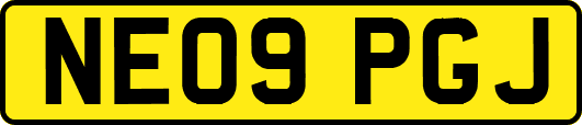 NE09PGJ