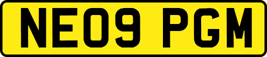NE09PGM