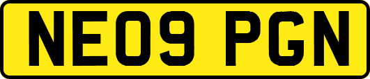NE09PGN