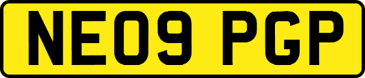 NE09PGP
