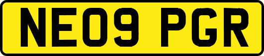 NE09PGR