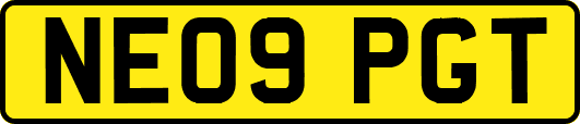 NE09PGT