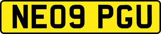 NE09PGU