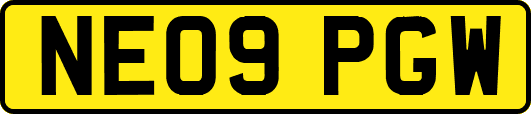 NE09PGW